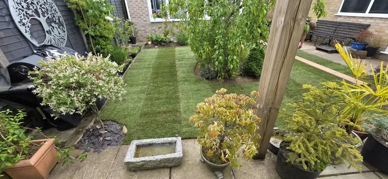 Autumn Lawn Care in Norfolk: A Complete Guide