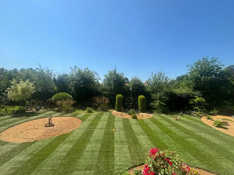 What to Look for When Hiring a Lawn Installation Company in Norwich