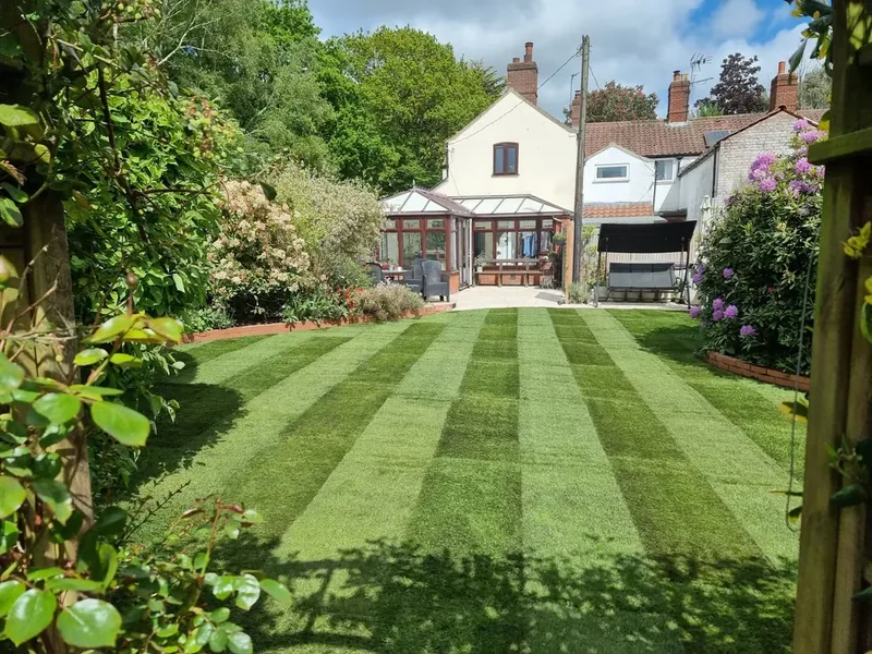 My Garden Is Mostly Shade: Can I Still Get a Nice Lawn?