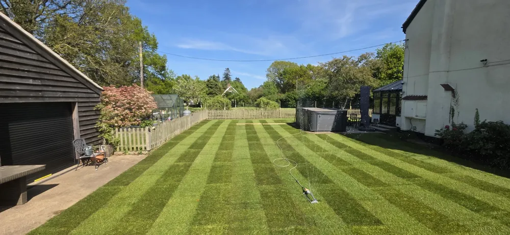 New and replacement lawn by James Steven Landscapes & Lawns