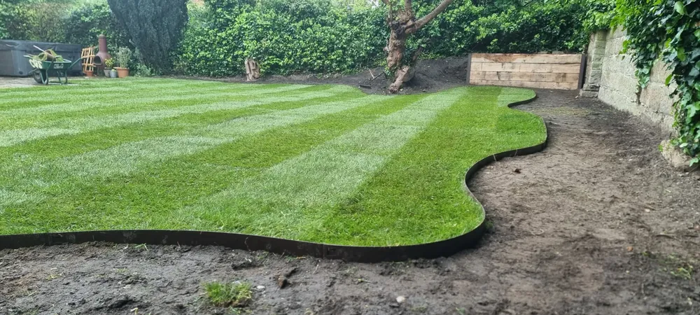 New and replacement lawn by James Steven Landscapes & Lawns, Norwich