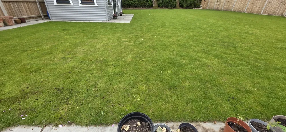New and replacement lawn by James Steven Landscapes & Lawns