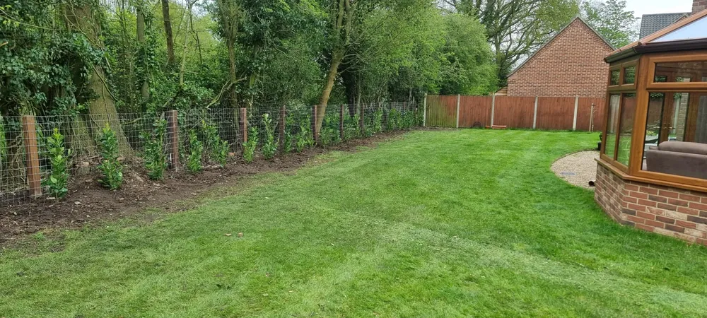 A freshly laid lawn in a large Norfolk garden