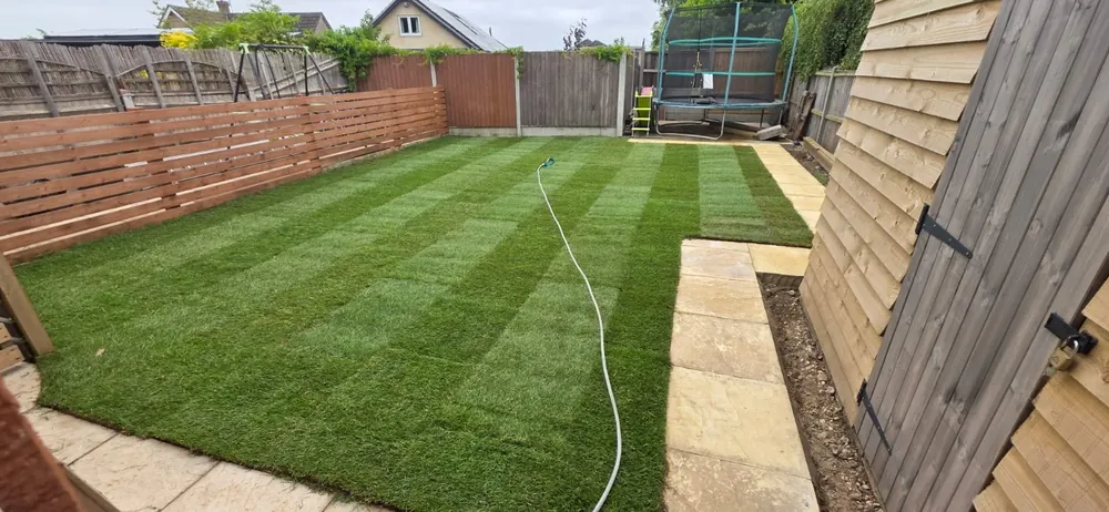 Lawn Seeding & Overseeding by James Steven Landscapes & Lawns