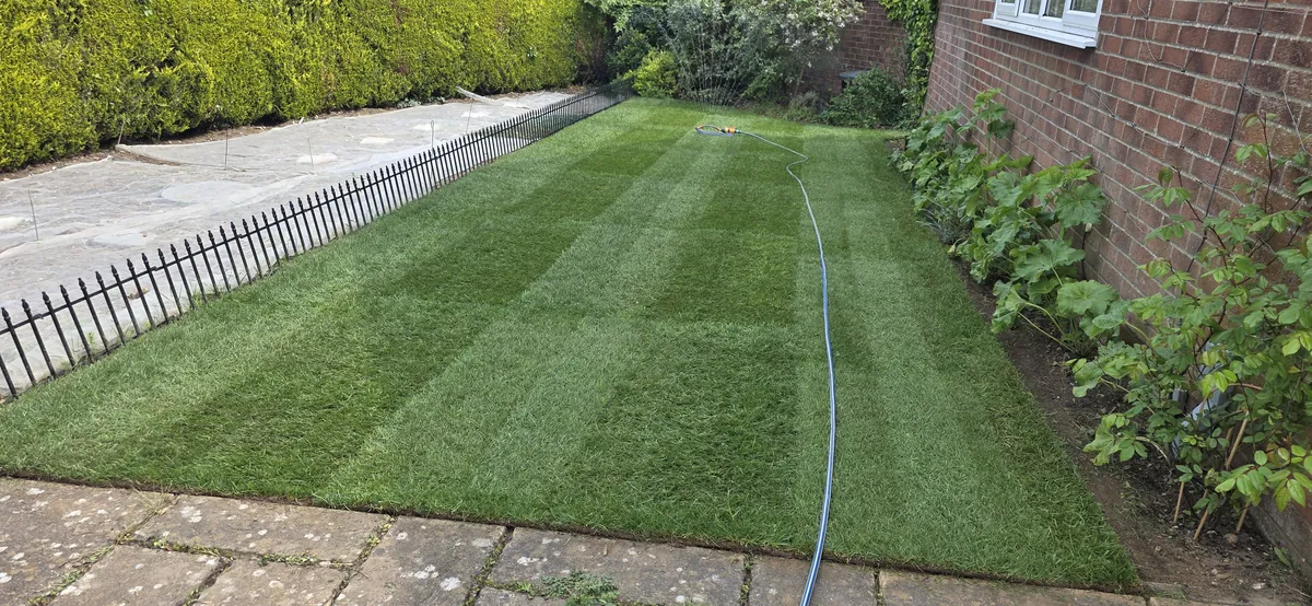 New and replacement lawn by James Steven Landscapes & Lawns, Norwich