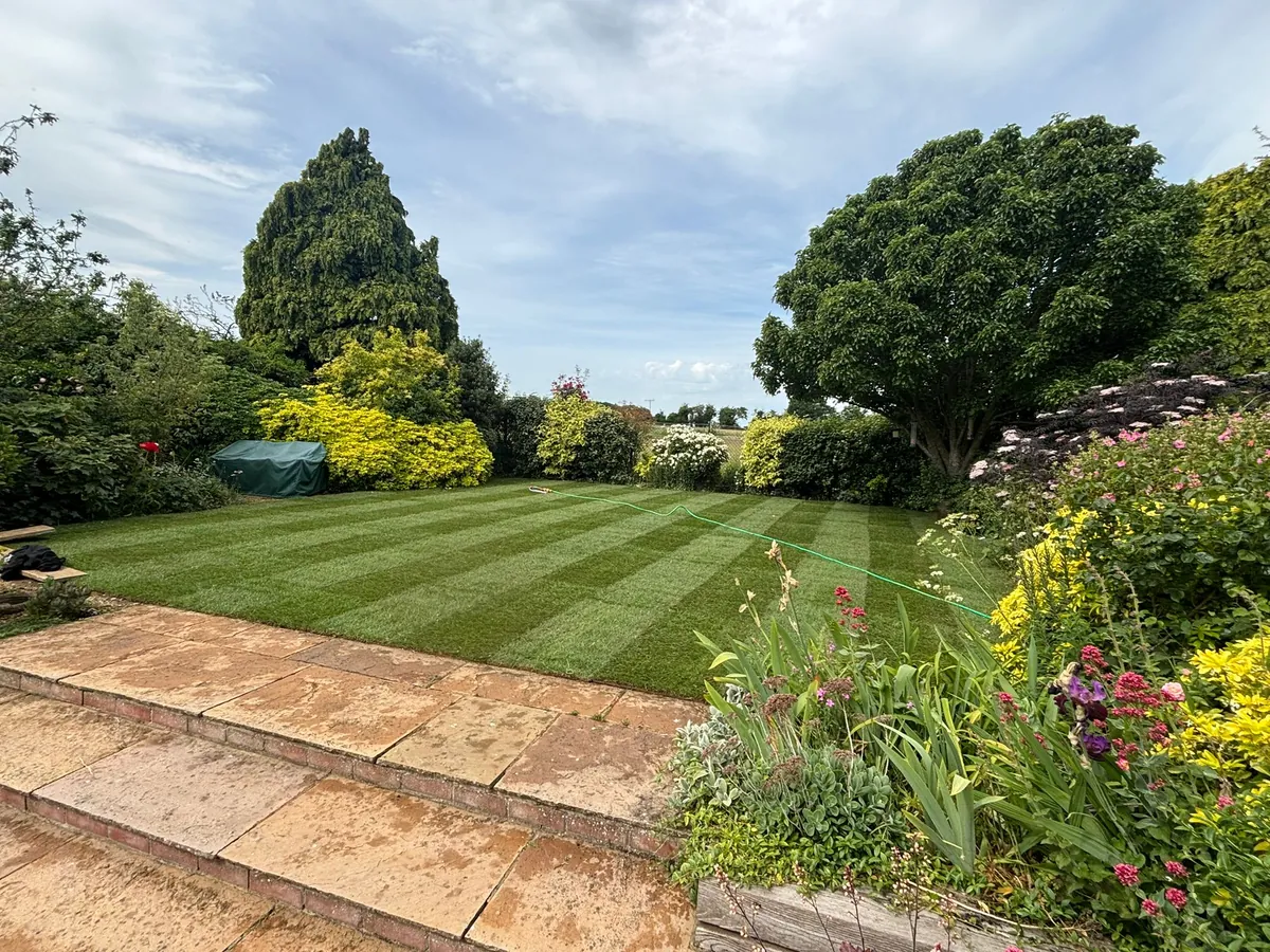 New and replacement lawn by James Steven Landscapes & Lawns, Norwich