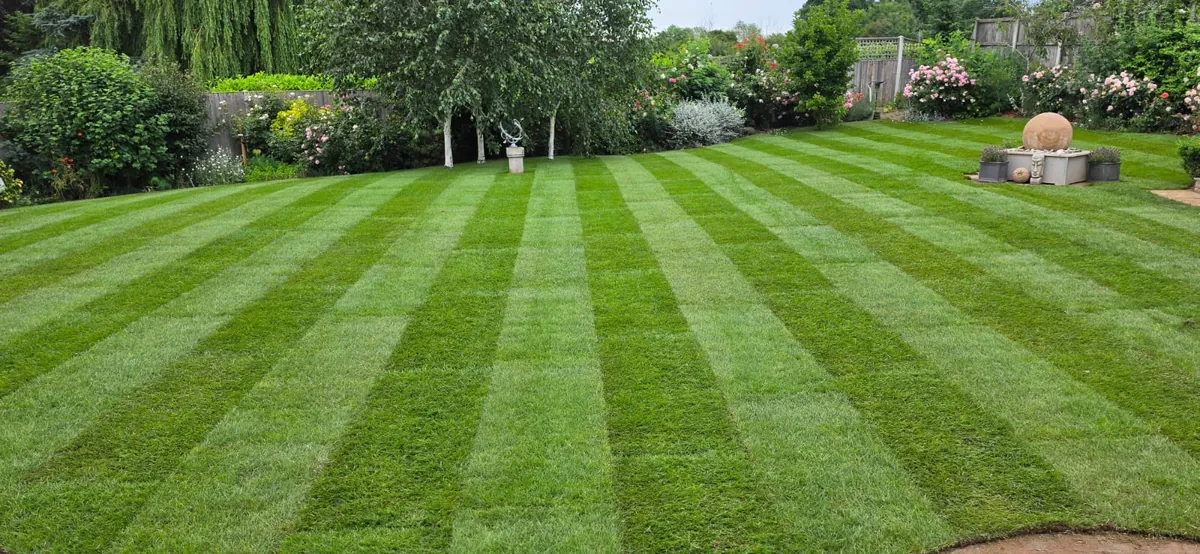 New and replacement lawn by James Steven Landscapes & Lawns, Norwich