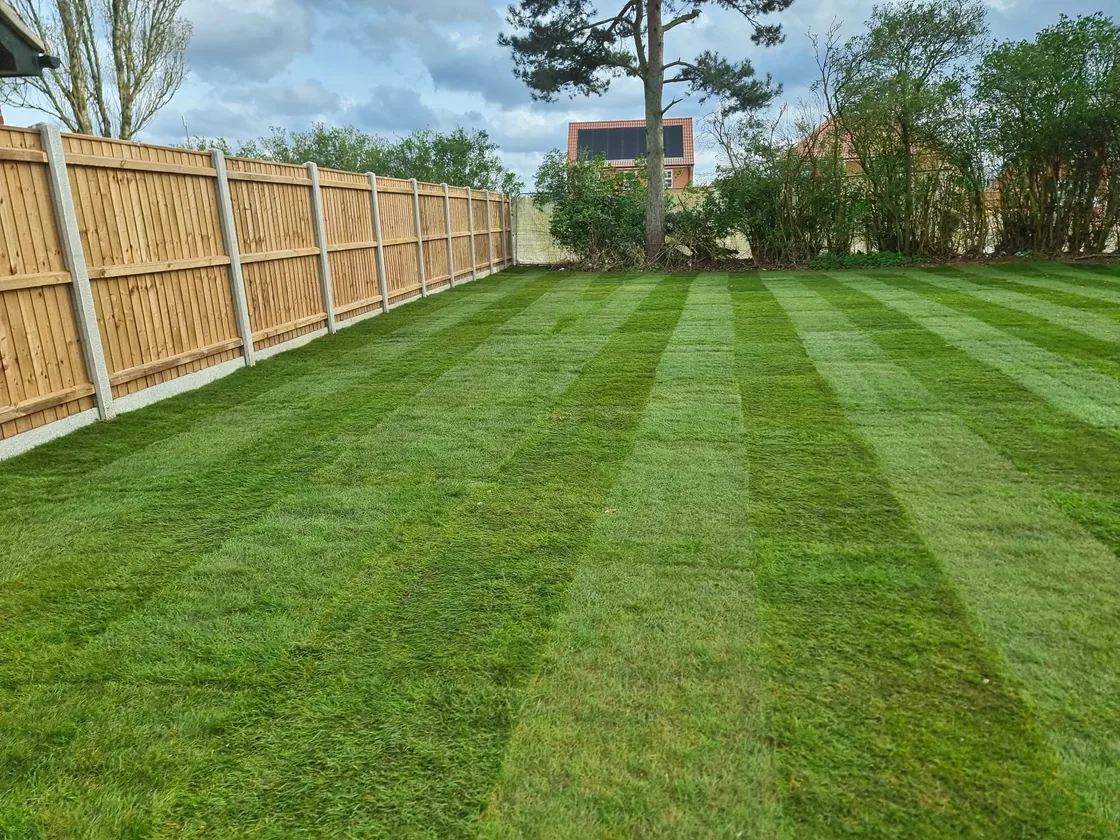 After: fresh, level lawn in Norwich