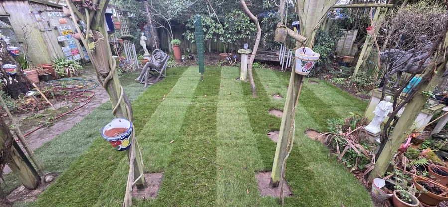 New turf laid in a Norwich back garden