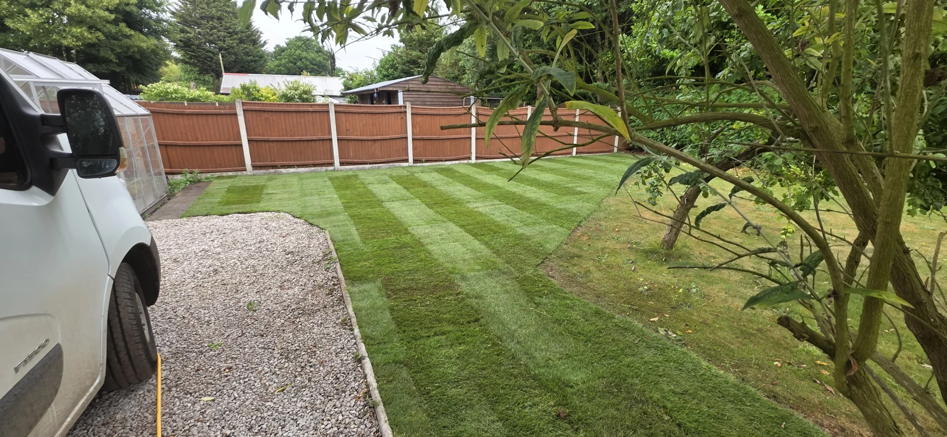 Lawn replacement work in Norwich