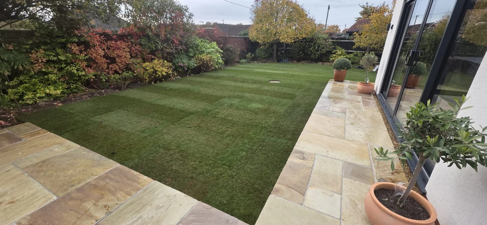After lawn replacement Norwich