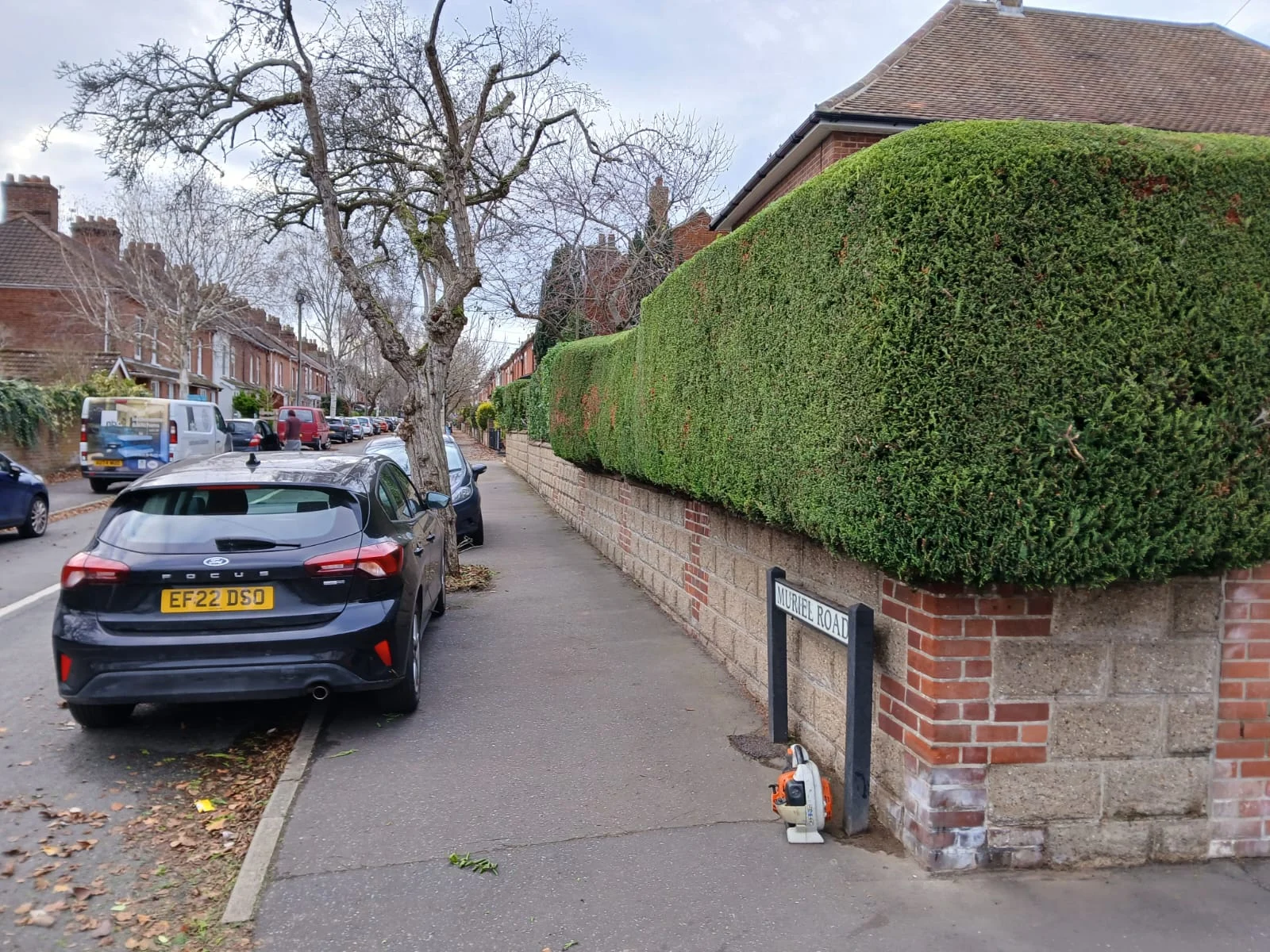 Garden maintenance work in Norwich