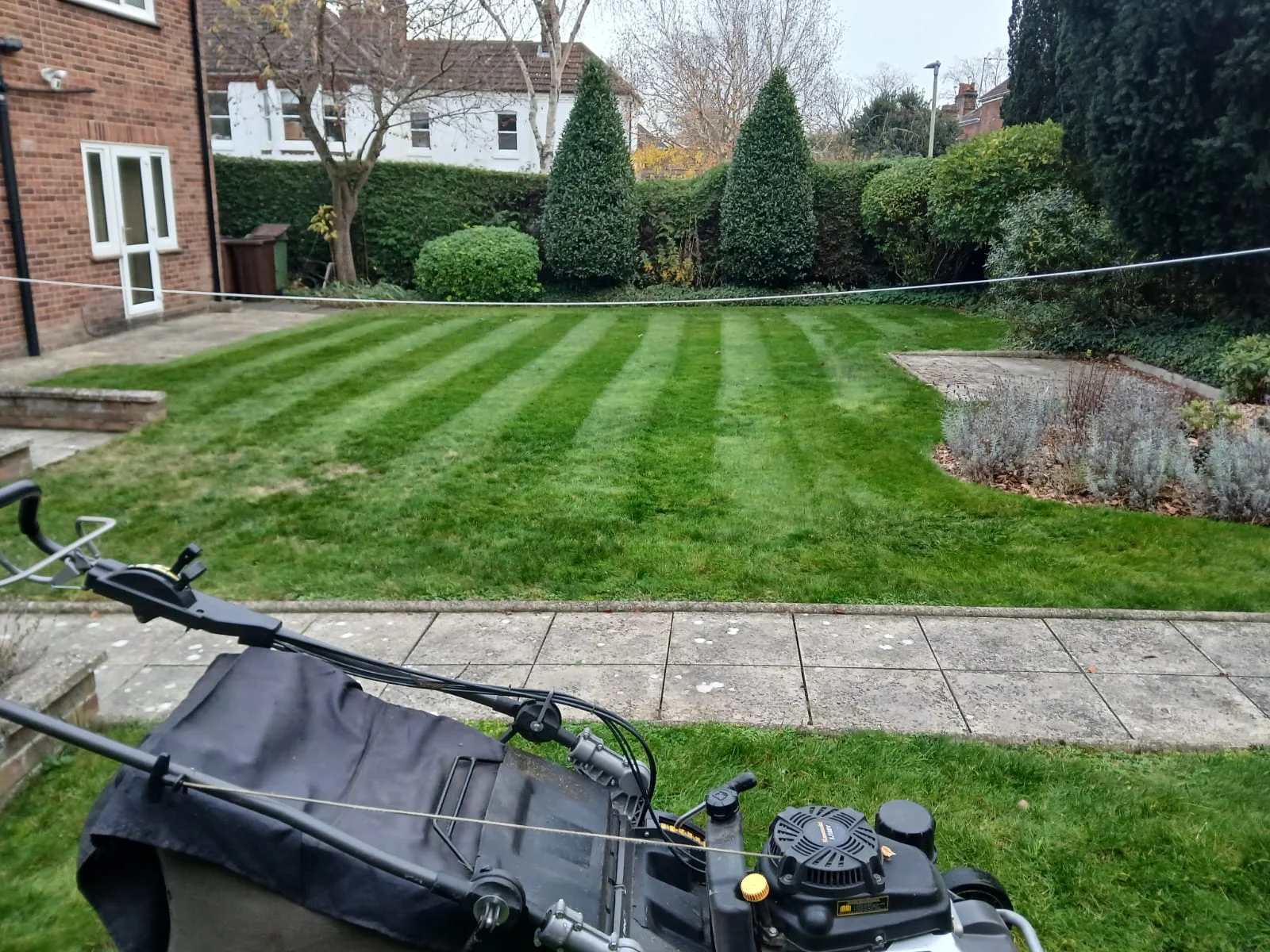 Regular garden maintenance in Norwich