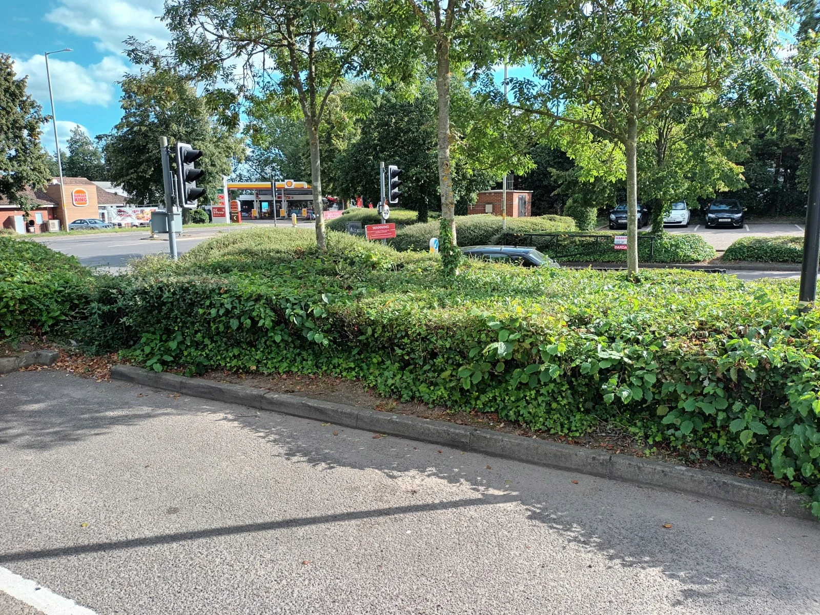 Ongoing garden maintenance