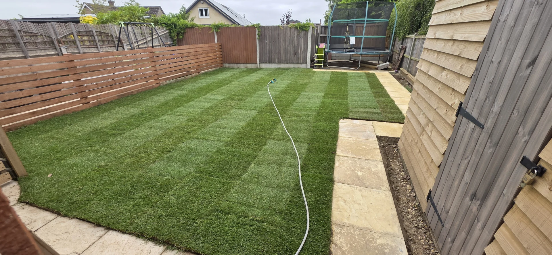 Lawn replacement Norwich