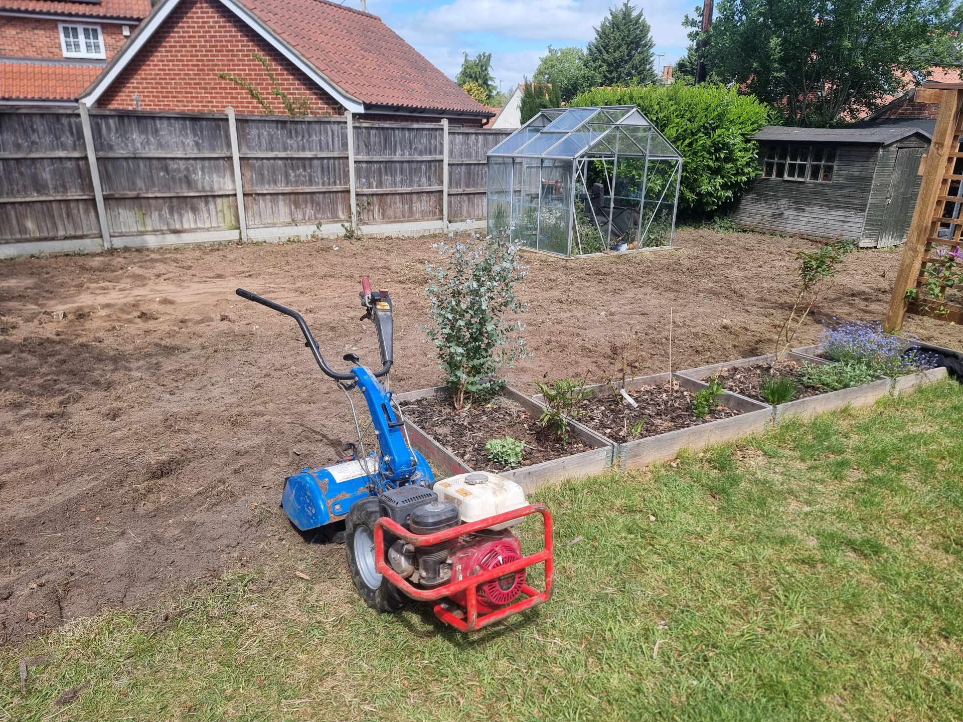 Overseeding and lawn repair project in Norwich